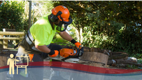 Addetto all'uso in Sicurezza della Motosega
