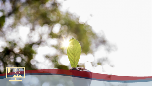 Auditor ISO 14001 - 1/2 parte