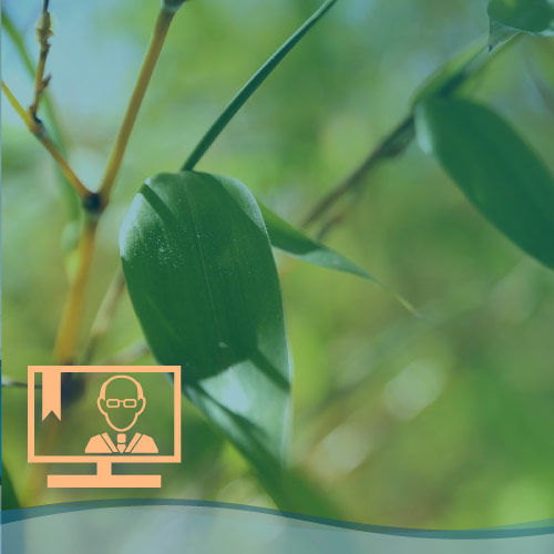 Auditor Interno ISO 14001:2015