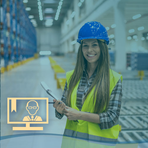 Auditor Interno ISO 9001:2015