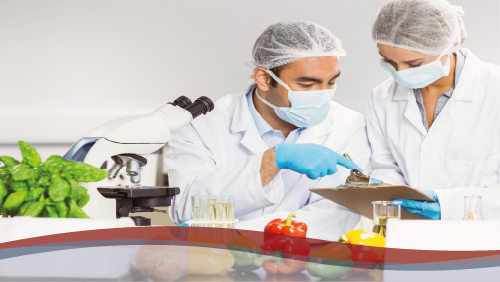 Auditor Interno ISO 22000:2005