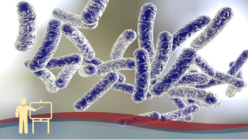 Corso Rischio Legionella: prevenzione e controllo