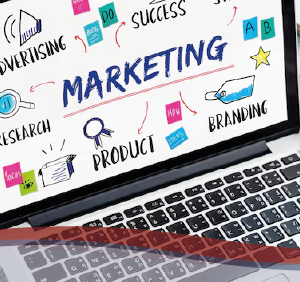 Digital Marketing Specialist