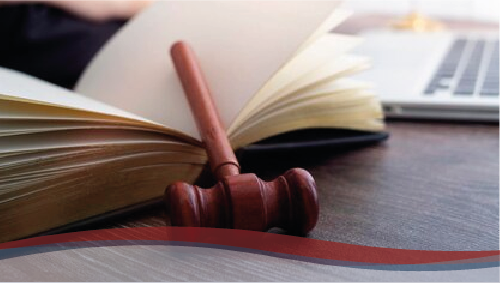 Formazione Giuridica di Carattere Multidisciplinare