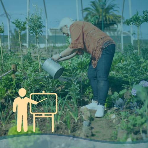 Operatore alla realizzazione e alla manutenzione di giardini