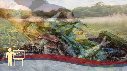 RSPP/ASPP – MODULO B - SP1 (AGRICOLTURA, PESCA)