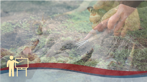 RSPP/ASPP – MODULO B - SP1 (AGRICOLTURA, PESCA)